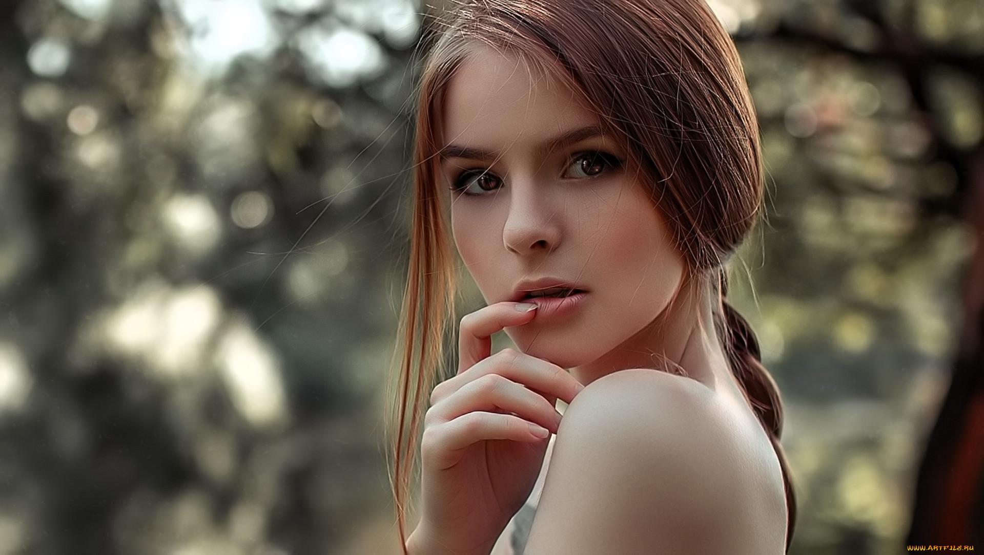 , - ,  , , 